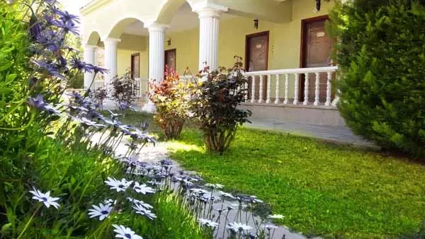 هتل پالم وینگز بیچ دیدیم